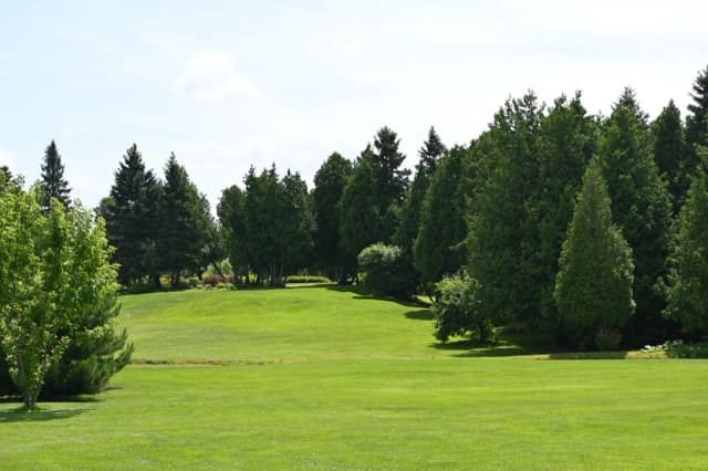 Golf Course View 2
